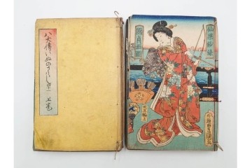 木版画　合巻(合本)　「雪梅芳譚犬の草紙(八犬伝犬の草紙)」　1編から37編・41編から55編　合計104巻(104冊)セット　(R-088031)