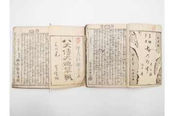 木版画　合巻(合本)　「雪梅芳譚犬の草紙(八犬伝犬の草紙)」　1編から37編・41編から55編　合計104巻(104冊)セット　(R-088031)
