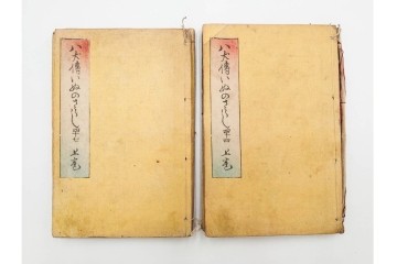 木版画　合巻(合本)　「雪梅芳譚犬の草紙(八犬伝犬の草紙)」　1編から37編・41編から55編　合計104巻(104冊)セット　(R-088031)