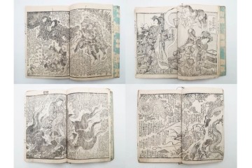 木版画　合巻(合本)　「雪梅芳譚犬の草紙(八犬伝犬の草紙)」　1編から37編・41編から55編　合計104巻(104冊)セット　(R-088031)