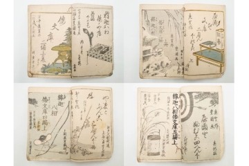 合巻(合本)　「釈迦八相倭文庫」　1編から52編　合計110巻(110冊)セット　(R-088032)