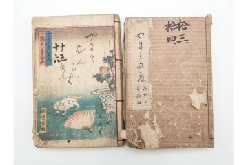 合巻(合本)　「釈迦八相倭文庫」　1編から52編　合計110巻(110冊)セット　(R-088032)