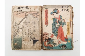 合巻(合本)　「釈迦八相倭文庫」　1編から52編　合計110巻(110冊)セット　(R-088032)