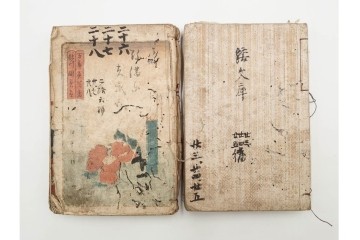 合巻(合本)　「釈迦八相倭文庫」　1編から52編　合計110巻(110冊)セット　(R-088032)