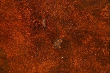 アジアンヴィンテージ　シノワズリ様式　花鳥図が華やかなオリエンタルデザインのサイドボード　(R-088140)