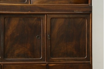 和製ヴィンテージ　前面(桑材)　梅にウグイスの彫刻と螺鈿細工が上品な茶箪笥　(R-088144)