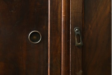 和製ヴィンテージ　前面(桑材)　梅にウグイスの彫刻と螺鈿細工が上品な茶箪笥　(R-088144)