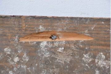 【簡易リペア限定品】　イギリスアンティーク　希少　著名工房作品　英国伝統サインペイント　ホップを描いた立体彫刻入り「Caffrey's IRISH ALE(カフリーズ)」のショップサイン　(R-088205)