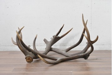 ヨーロッパヴィンテージ　鹿の角を組み合わせた存在感のある吊り下げオブジェ　(R-088237)