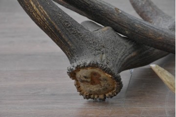 ヨーロッパヴィンテージ　鹿の角を組み合わせた存在感のある吊り下げオブジェ　(R-088237)
