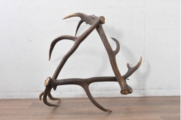 ヨーロッパヴィンテージ　鹿の角を組み合わせた存在感のある吊り下げオブジェ　(R-088237)
