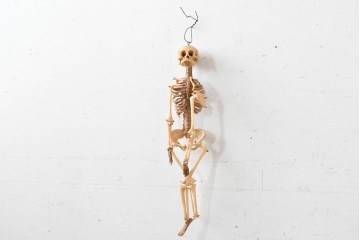 ディスプレイに存在感を添える人体模型風オブジェ　木箱付き　(R-088251)