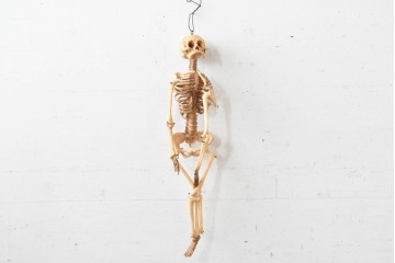 ディスプレイに存在感を添える人体模型風オブジェ　木箱付き　(R-088251)