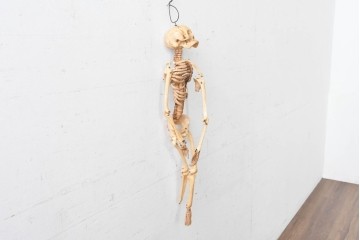 ディスプレイに存在感を添える人体模型風オブジェ　木箱付き　(R-088251)