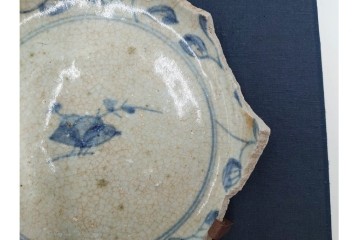 初期伊万里　染付　草花文様が味わい深い陶片　外箱付き　(R-088293)