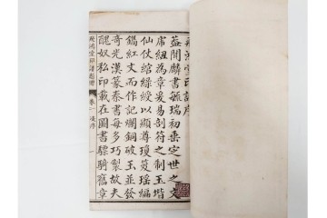 中国　「飛鴻堂印譜」　初集から五集　全20冊セット　木箱付き　(R-088294)