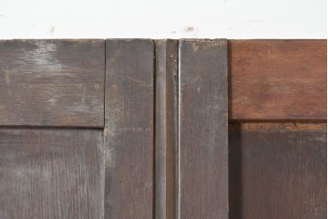 イギリスアンティーク建具　1900年頃　オーク材　長い歳月が刻んだ風合い豊かな大型ドア1枚　(R-088376)