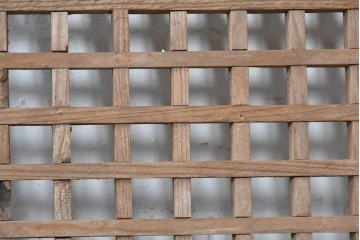 中国アンティーク建具　格子と八角形のシルエットが印象的な装飾パネル2枚セット　(R-088451)