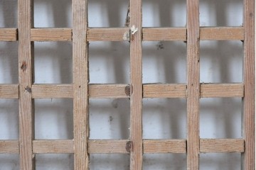 中国アンティーク建具　格子と八角形のシルエットが印象的な装飾パネル1枚　(R-088454)