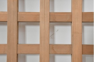 アンティーク建具　大正から昭和初期　マス目デザインが美しい幅狭のきつね格子蔵戸1枚　(R-088484)