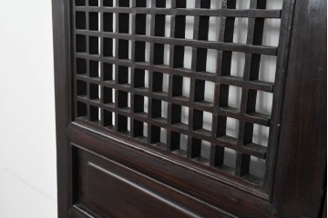 アジアンヴィンテージ　中国　重厚感のある彫刻入り格子扉1対　(R-088486)