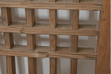 中国アンティーク建具　1900年頃　李朝風建具　花形金具がアクセントになった片開き戸2枚セット　(R-088529)