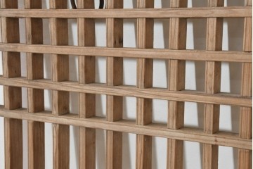 中国アンティーク建具　1900年頃　李朝風建具　花形金具がアクセントになった片開き戸2枚セット　(R-088529)