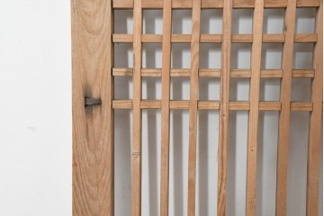 中国アンティーク建具　1900年頃　李朝風建具　花形金具がアクセントになった片開き戸2枚セット　(R-088529)