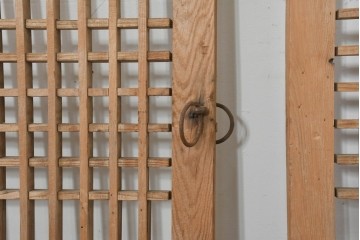 中国アンティーク建具　1900年頃　李朝風建具　花形金具がアクセントになった片開き戸2枚セット　(R-088529)