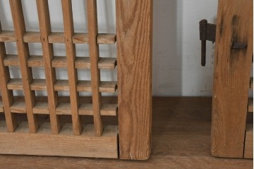 中国アンティーク建具　1900年頃　李朝風建具　花形金具がアクセントになった片開き戸2枚セット　(R-088529)