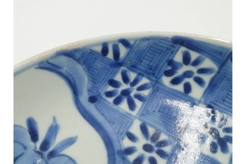 江戸期　染付　直径約21cm(6.9寸)　石畳に菖蒲文を配した爽やかな中皿　(R-088569)