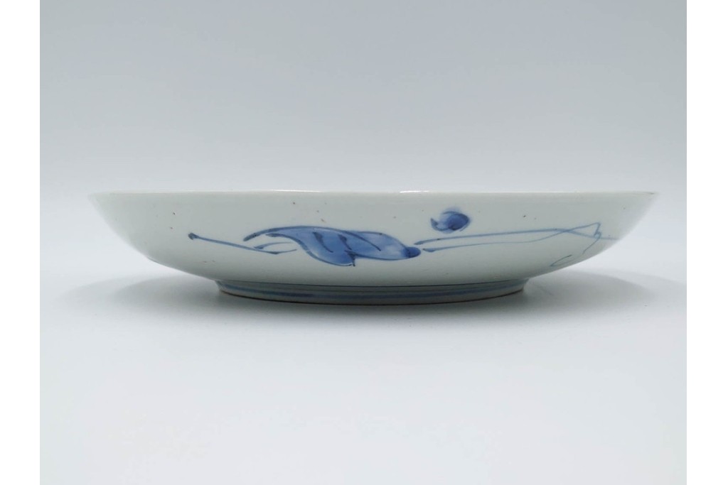 江戸期　染付　直径約21cm(6.9寸)　石畳に菖蒲文を配した爽やかな中皿　(R-088569)