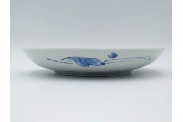 江戸期　染付　直径約21cm(6.9寸)　石畳に菖蒲文を配した爽やかな中皿　(R-088569)