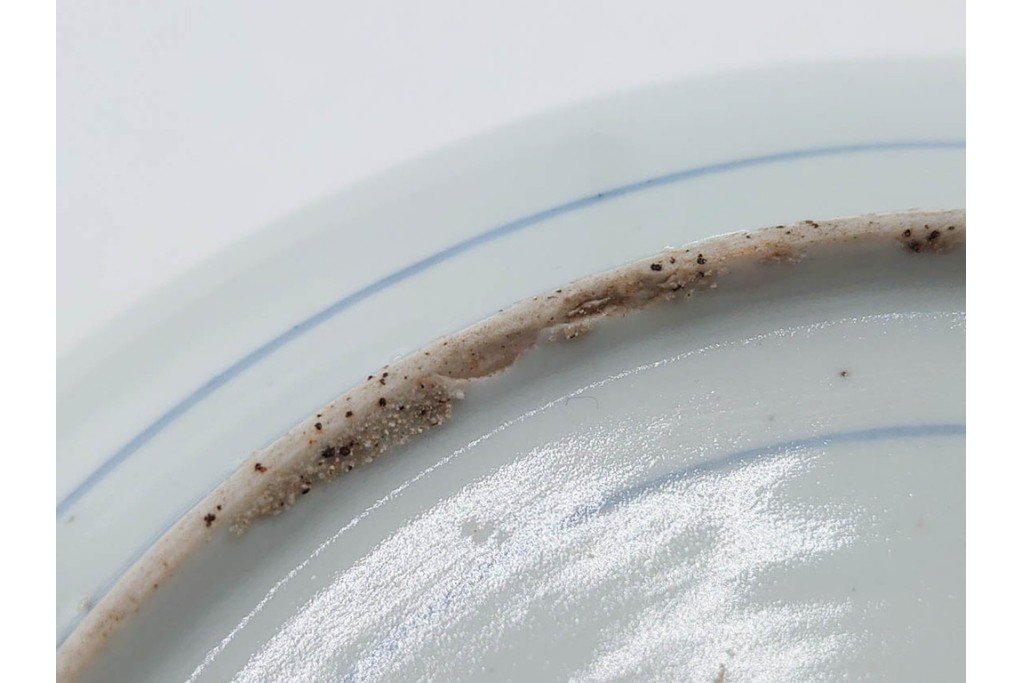 江戸期　染付　直径約21cm(6.9寸)　石畳に菖蒲文を配した爽やかな中皿　(R-088569)