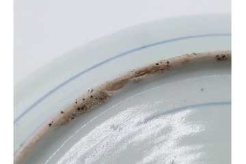 江戸期　染付　直径約21cm(6.9寸)　石畳に菖蒲文を配した爽やかな中皿　(R-088569)