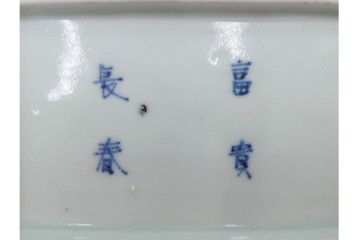 江戸期　古伊万里　染付　蛸唐草文・見込牡丹図　繊細な絵付けが目を引く長皿3枚セット　(R-088587)
