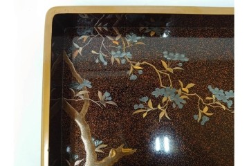 明治から大正期　時代物　木製　漆器　梨地に梅の金銀蒔絵が映える盆　(R-088599)