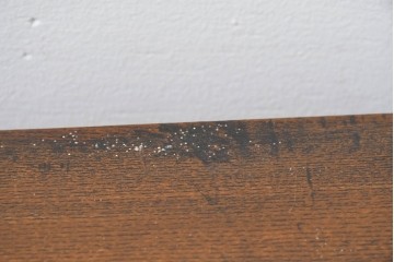 和製アンティーク　栓材　透かし彫りの扉が目を引く本箱　(R-088729)