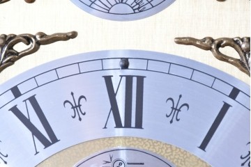 イタリアヴィンテージ　Diamantini & Domeniconi社製　装飾的な文字盤が印象的なホールクロック　(R-088808)