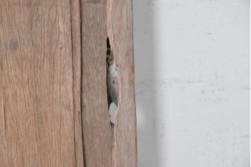 アジアンアンティーク建具　バリ島　異なる彫刻意匠を楽しめるサイズ違いのパネル5枚セット　(R-088859)