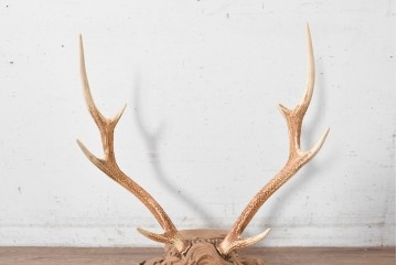 和製ヴィンテージ　希少デザイン!　欅(ケヤキ)材　鹿角と紅葉流水図彫刻が見事な刀掛け　(R-088870)