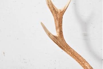 和製ヴィンテージ　希少デザイン!　欅(ケヤキ)材　鹿角と紅葉流水図彫刻が見事な刀掛け　(R-088870)