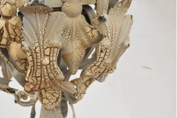 《天井・壁付け照明加工費込み》　ヨーロッパヴィンテージ　優雅な曲線美が魅力の大型ブラケットライト　(R-088928)