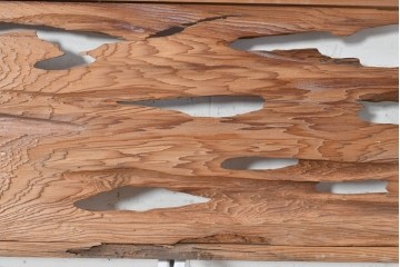 ヴィンテージ建具　昭和後期　屋久杉　節穴を活かしたデザインが味わい深い欄間2枚セット　(R-088985)