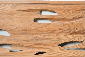 ヴィンテージ建具　昭和後期　屋久杉　節穴を活かしたデザインが味わい深い欄間2枚セット　(R-088985)