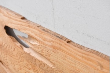 ヴィンテージ建具　昭和後期　屋久杉　節穴を活かした素朴な表情が味わい深い欄間2枚セット　(R-089037)