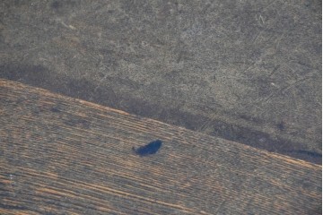 和製アンティーク　栓材　丸い天板が味わい深い丸型ちゃぶ台　(R-089055)