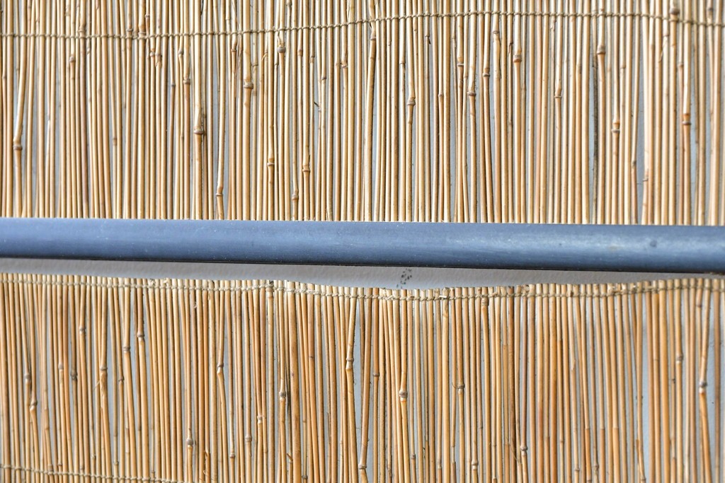 アンティーク建具　昭和初期から昭和中期　魚と竹の意匠が涼やかな夏戸2枚セット　(R-089165)
