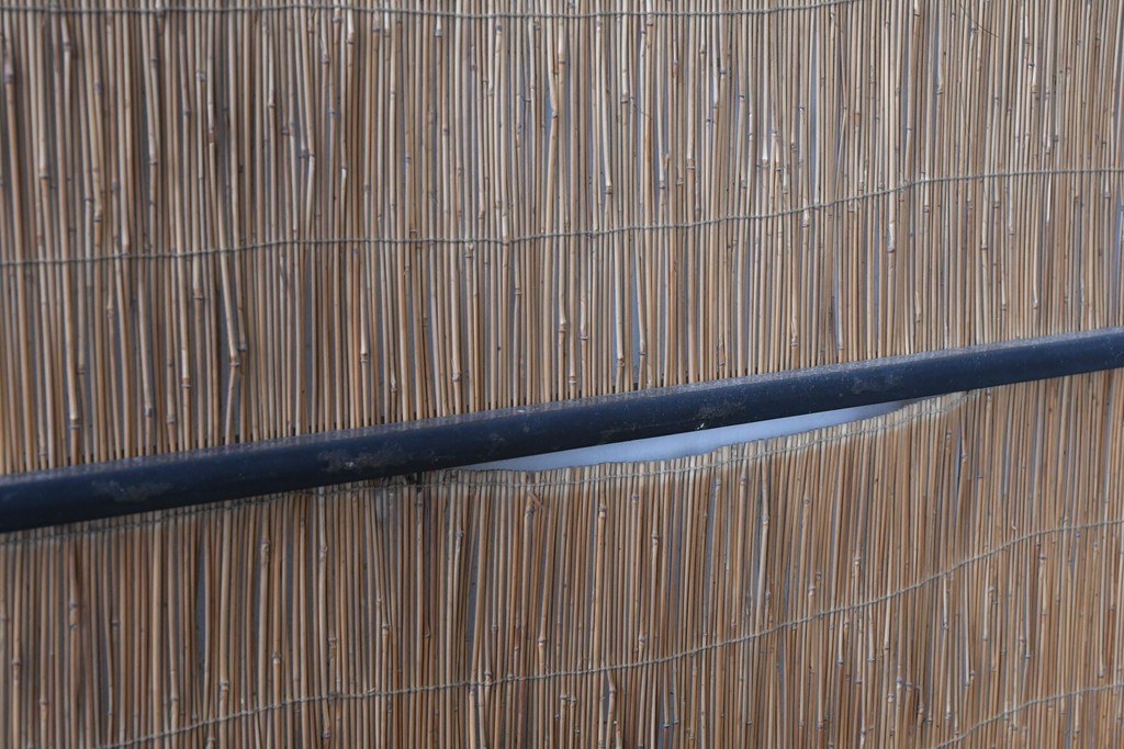 アンティーク建具　昭和初期から昭和中期　魚と竹の意匠が涼やかな夏戸2枚セット　(R-089165)