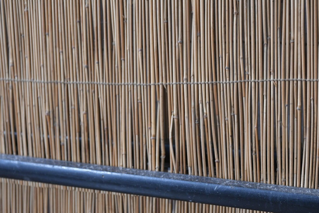 アンティーク建具　昭和初期から昭和中期　魚と竹の意匠が涼やかな夏戸2枚セット　(R-089165)
